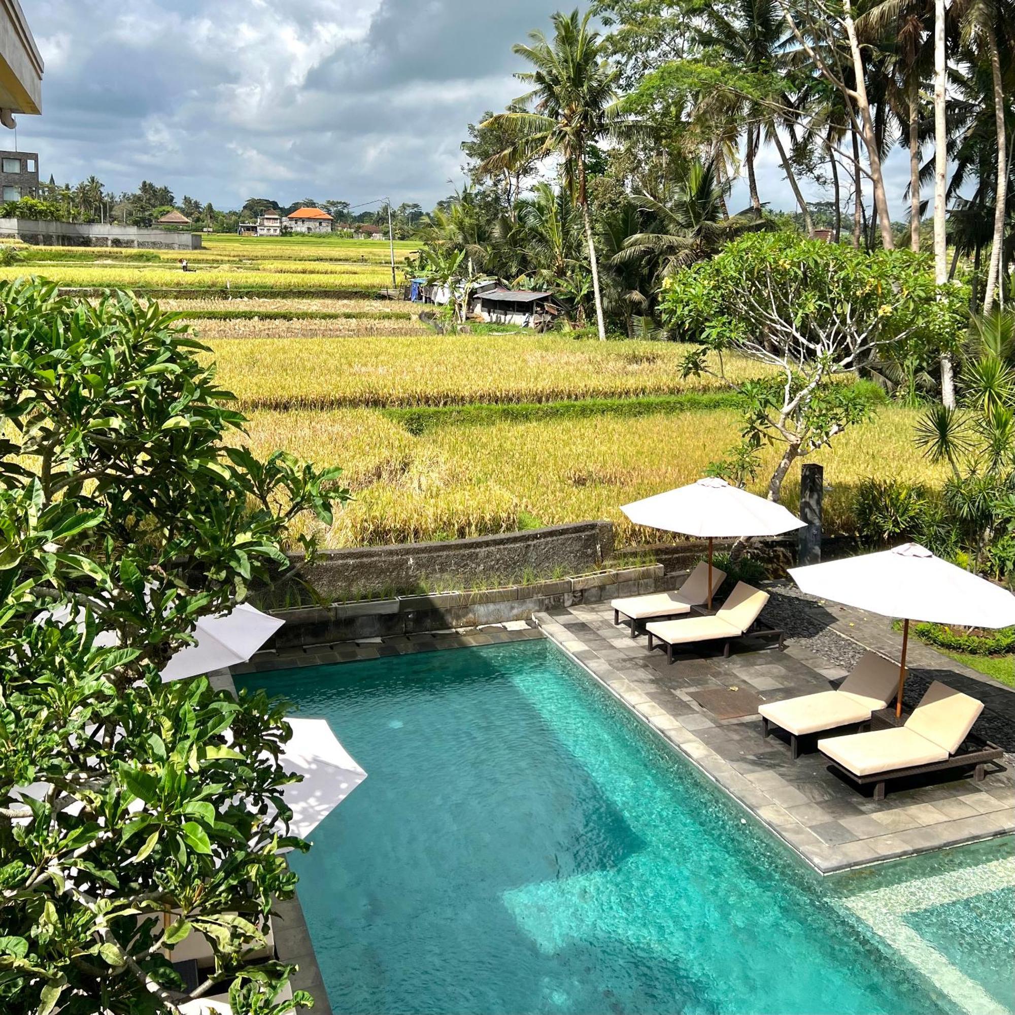 巴厘岛库布柏克别墅及度假酒店 乌布 外观 照片